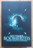 Ken Wilber Boomeritis. Powieść, która da ci wolność